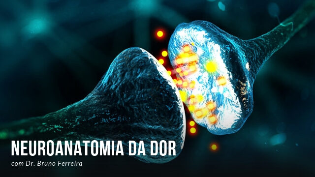 Neuroanatomia da Dor